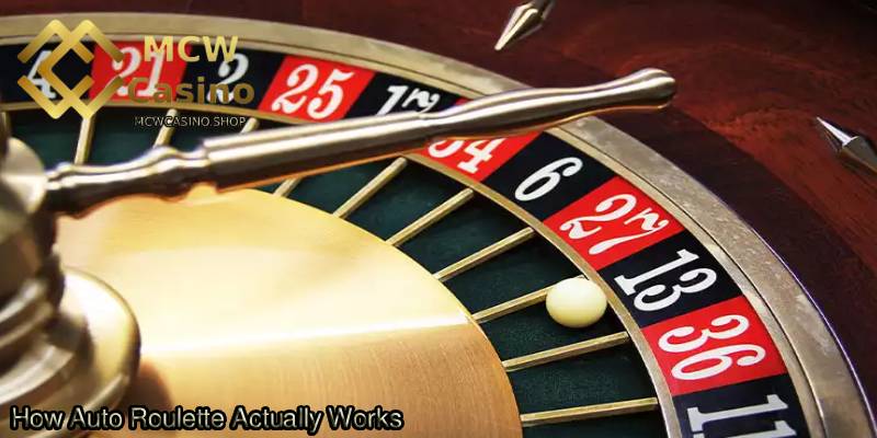 How-Auto-Roulette-Actually-Works.