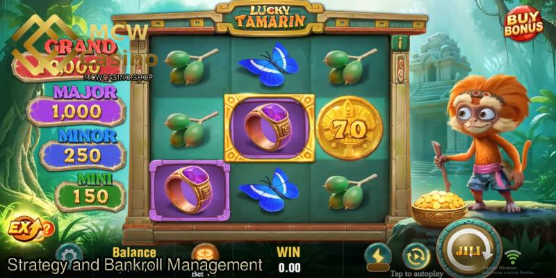 Strategy-and-Bankroll-Management.