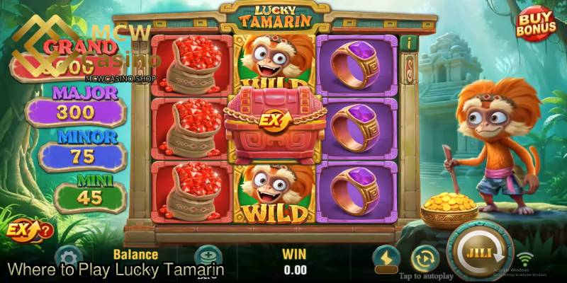 Where-to-Play-Lucky-Tamarin.