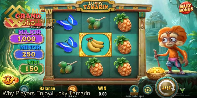 Why-Players-Enjoy-Lucky-Tamarin.